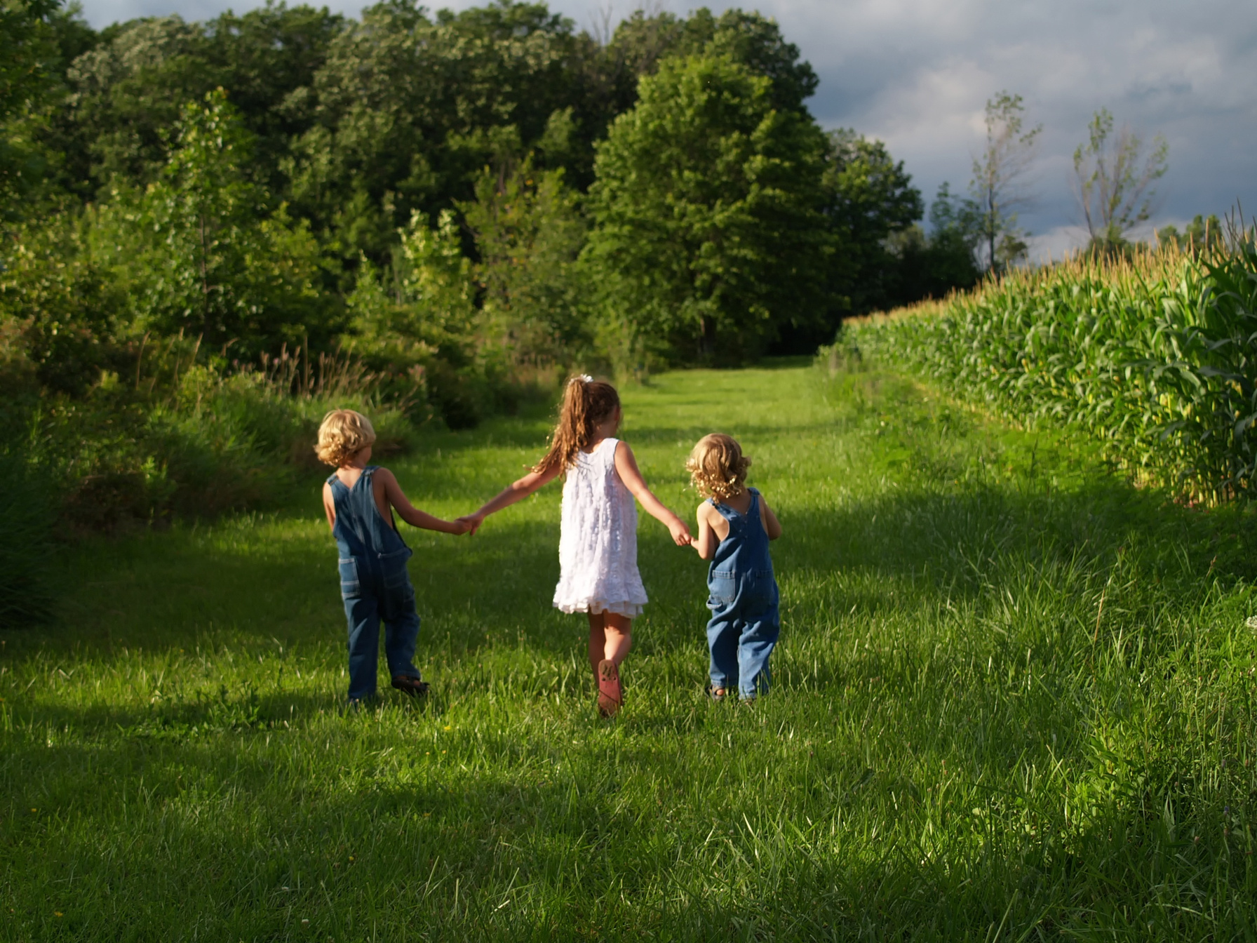 Kids On Farm